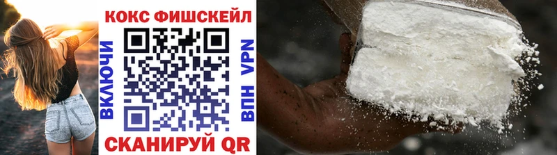 Cocaine FishScale  Купить закладки  Конаково 