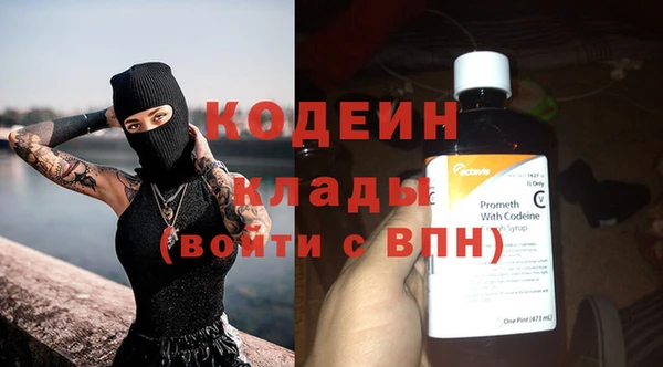шишки Дмитровск