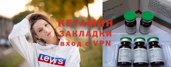 шишки Дмитровск