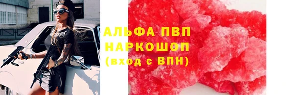 шишки Дмитровск