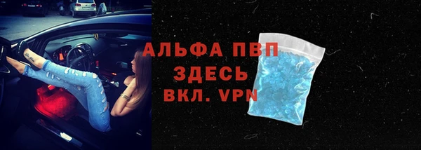 эйфоретик Елизово