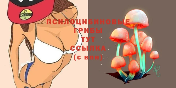ALPHA PVP Дмитров