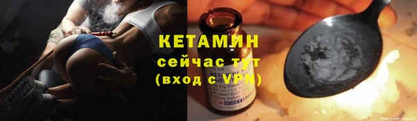 шишки Дмитровск