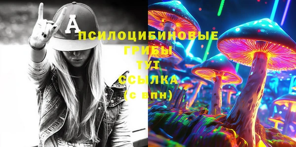 шишки Дмитровск