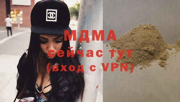 шишки Дмитровск