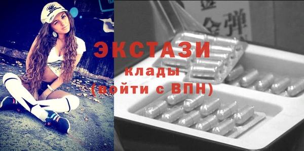 крисы Ельня