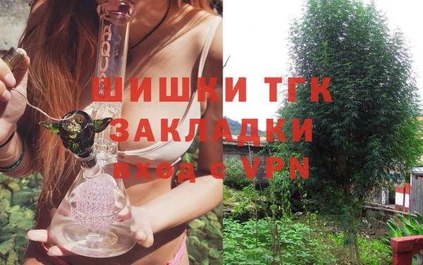 крисы Ельня
