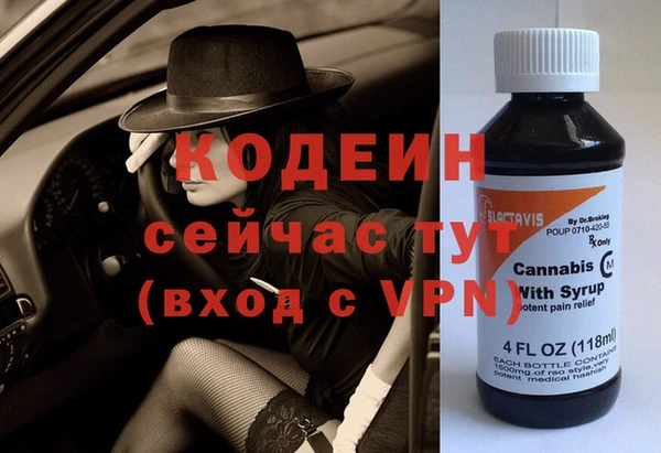 крисы Ельня