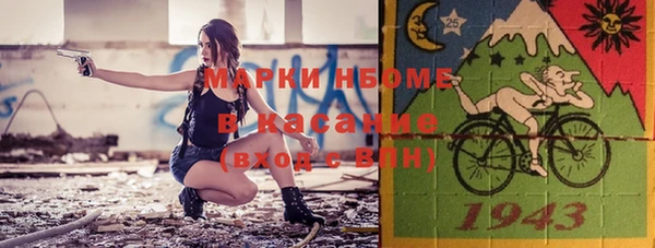 шишки Дмитровск